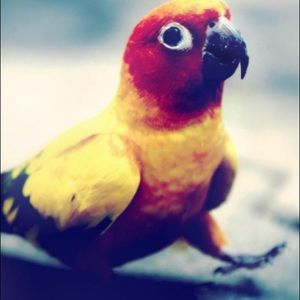 Meet your Posher, Larry